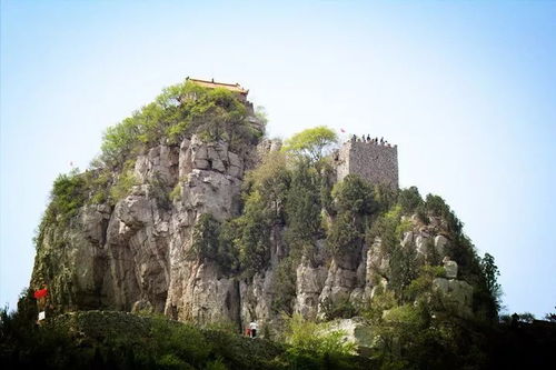 來淄博 看淄博 2018首屆全國(guó)國(guó)際象棋棋協(xié)大師賽看過來