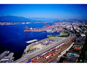 油價(jià)重返50美元曙光乍現(xiàn),頁(yè)巖油企業(yè)卻要倒在黎明前