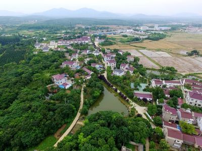 植綠不止，春山可望！馬鞍山市這個縣扛起高質量發展“綠色擔當”